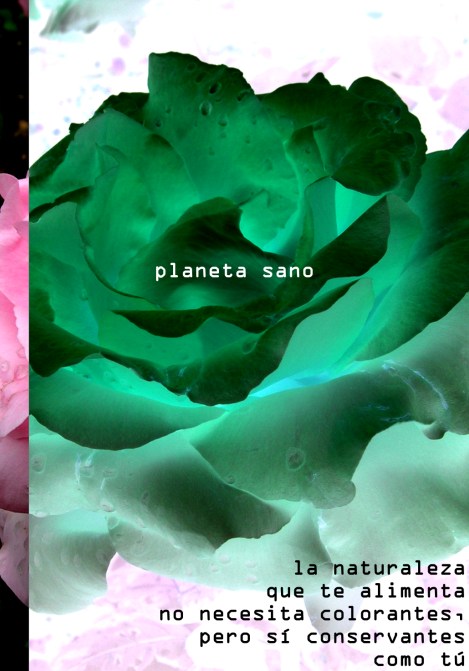 Un cartel en el que aparece una preciosa lechuga. Pero la lechuga no es sino una rosa con el color invertido. En el lado izquierdo, una estrecha franja descubre la flor en su color original. Sobre el centro de la lechuga-flor, el texto 'planeta sano'. Y, abajo a la derecha, los dobles sentidos en la frase 'la naturaleza que te alimenta no necesita colorantes, pero s� conservantes como t�'.